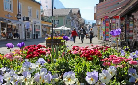 Begrünte Fußgängerzone im Dorf